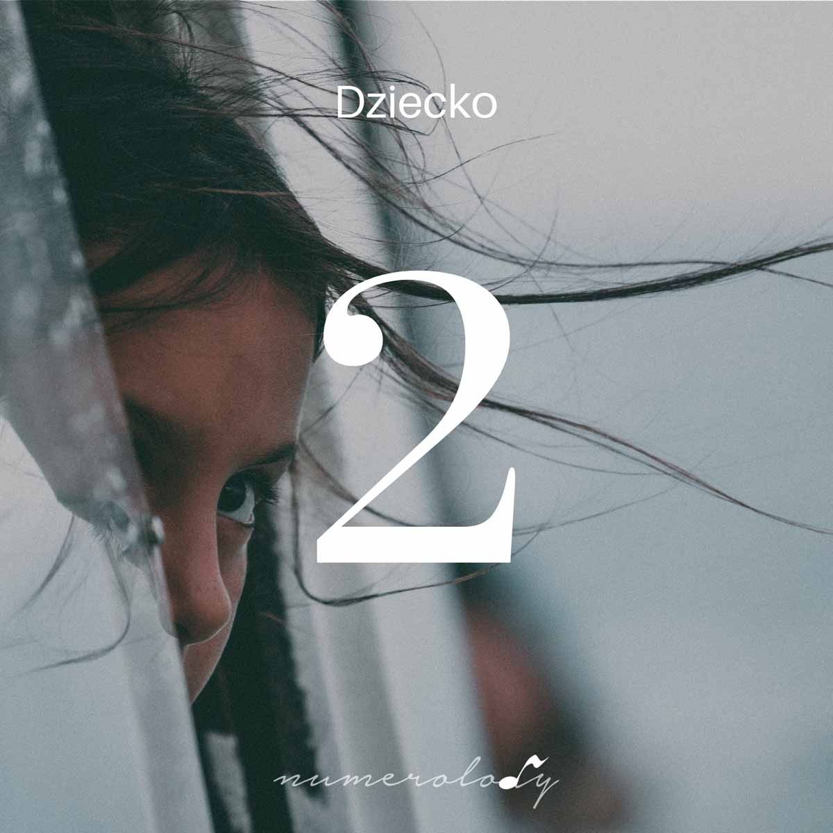 Numerologia dzieci 2 - Dorota Zwierz - NumeroloDy