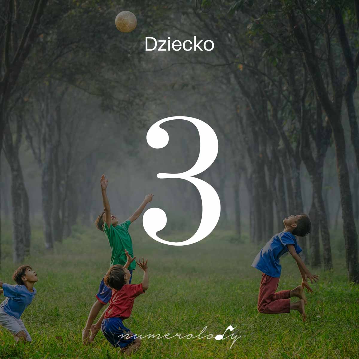 Numerologia dzieci 3 - Dorota Zwierz - NumeroloDy