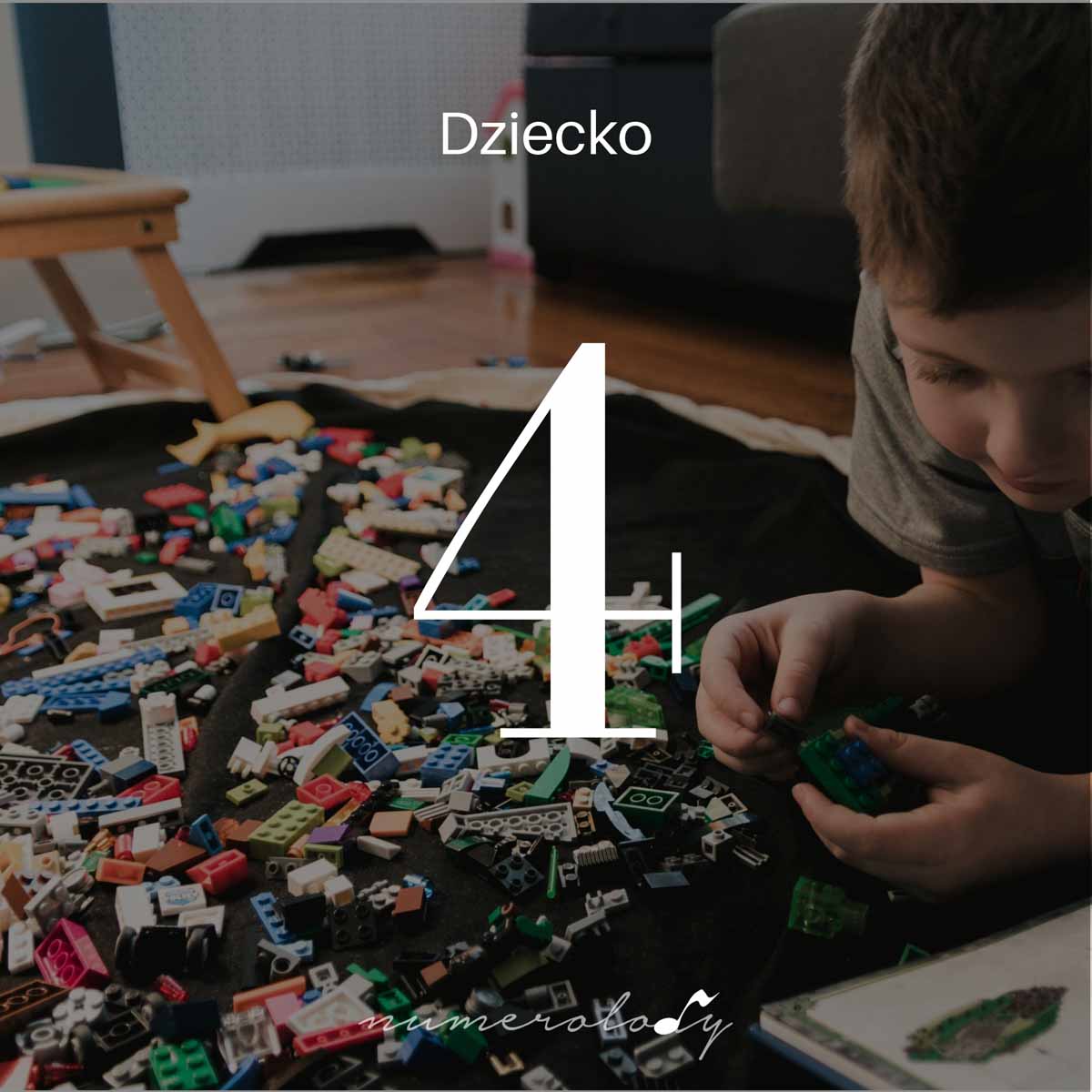 Numerologia dzieci 4 - Dorota Zwierz - NumeroloDy