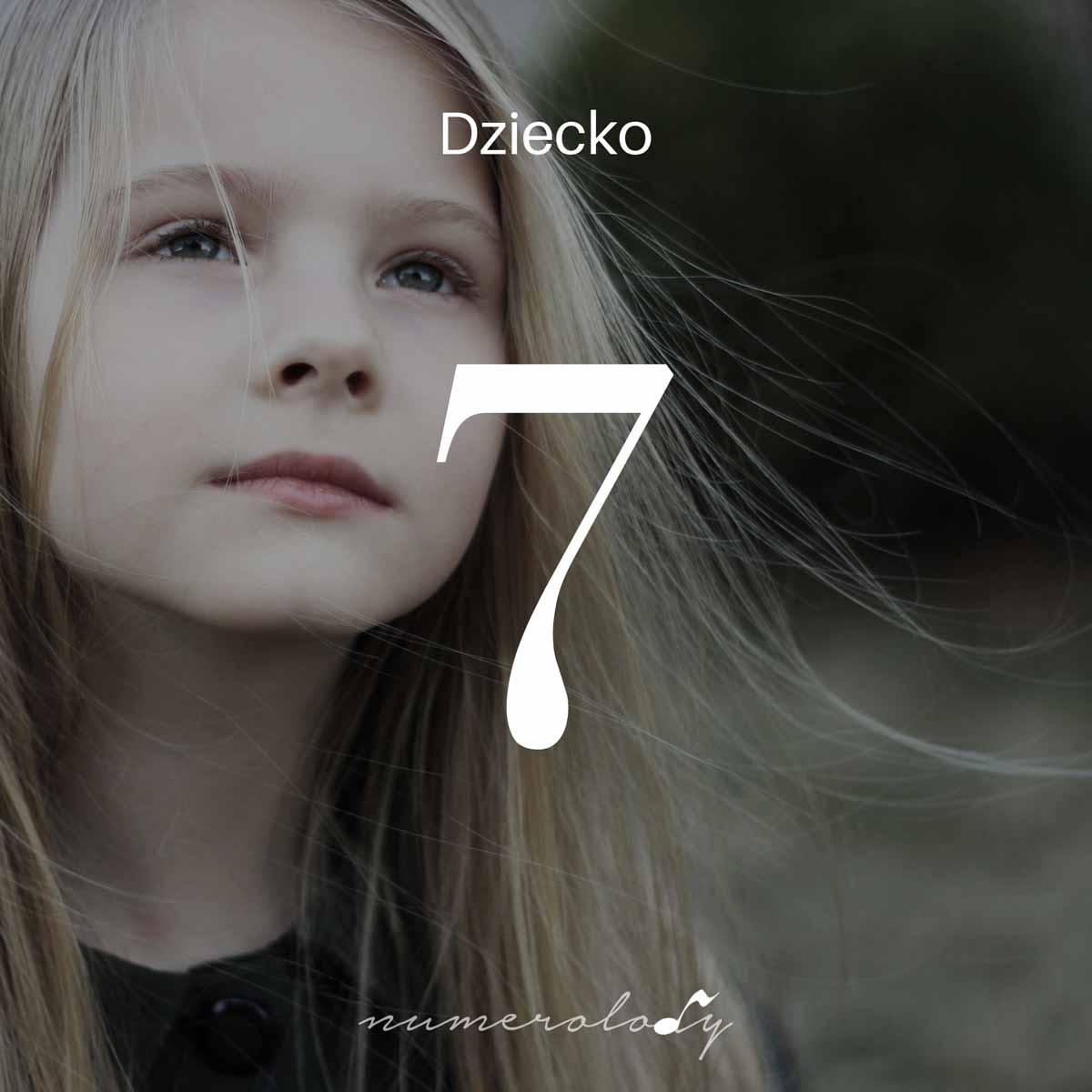Numerologia dzieci 7 - Dorota Zwierz - NumeroloDy