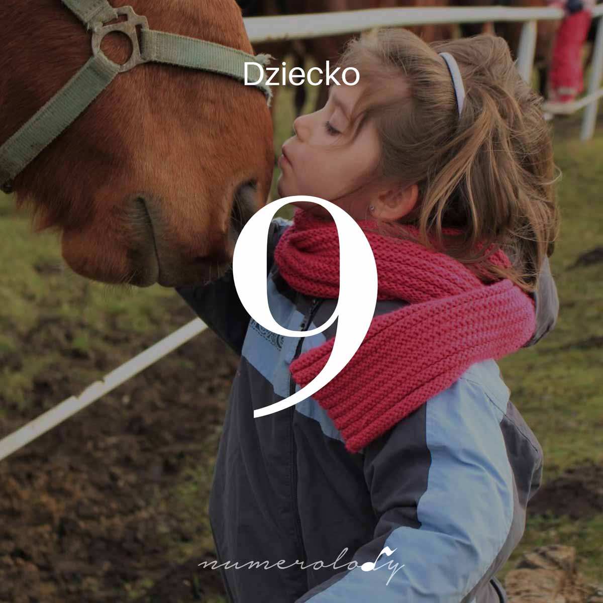 Numerologia dzieci 9 - Dorota Zwierz - NumeroloDy