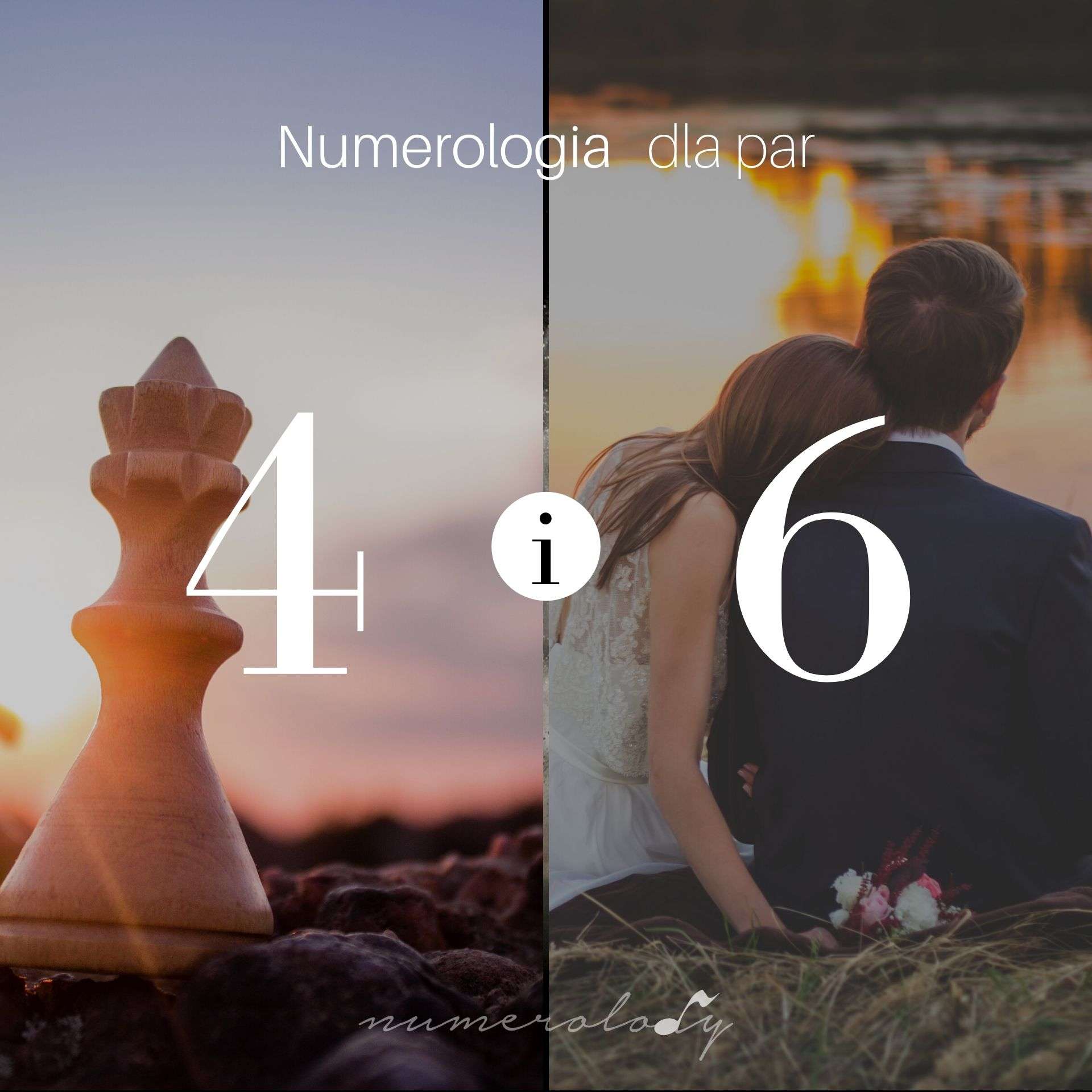 Numerologia Par 4 i 6 - Dorota Zwierzh - NumeroloDy