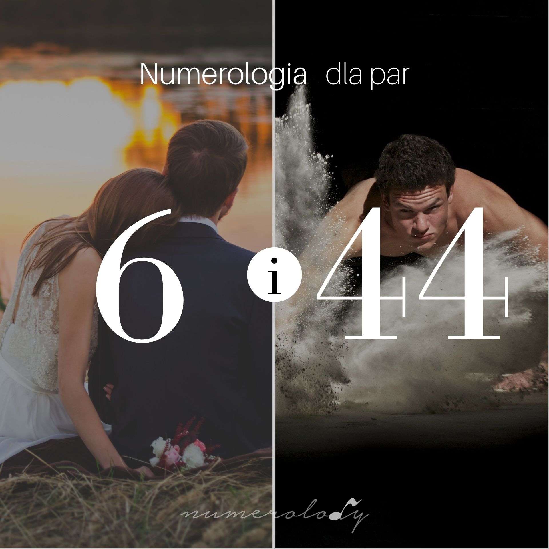 Numerologia Par 6 i 44 - Dorota Zwierzh - NumeroloDy