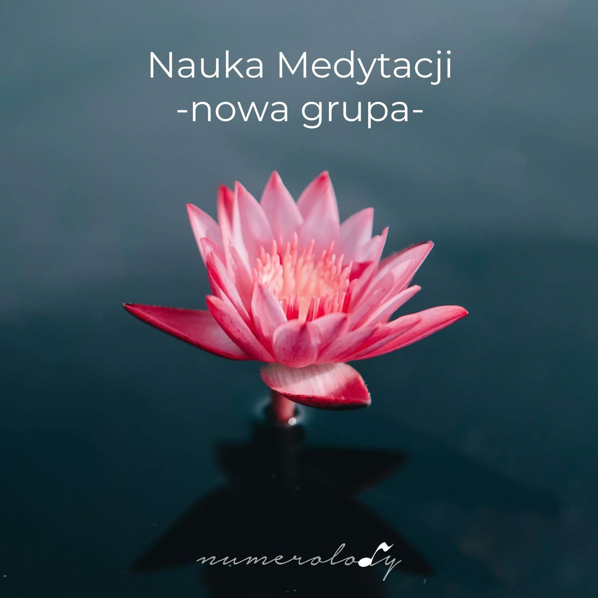 Nauka Medytacji - Dorota Zwierzh - NumeroloDy