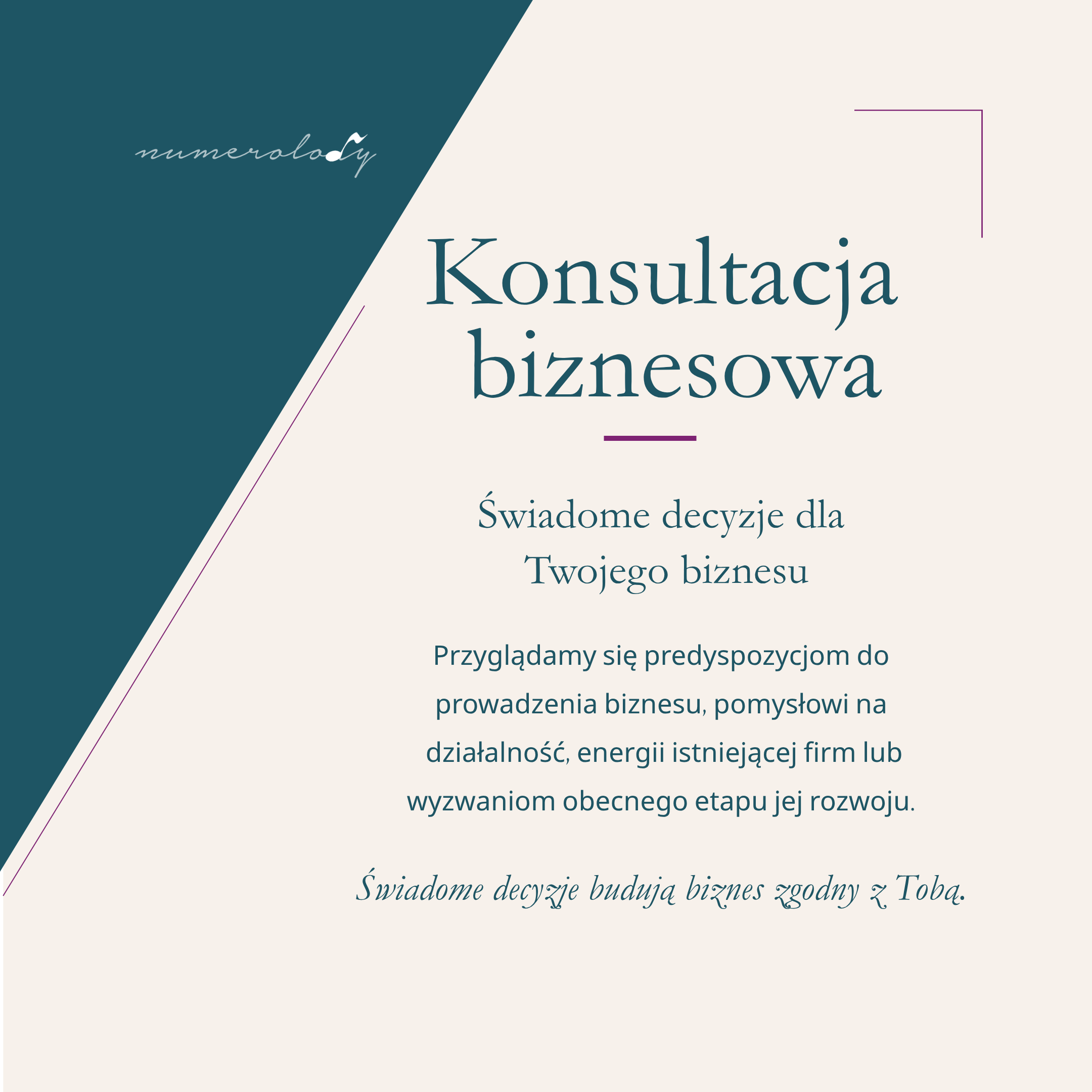 Kons_biznesowa